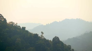 Katmanlı dağ tepeleri ılık altın bir gökyüzünün altında sislerin içinde kayboluyor. Huzurlu doğal manzara, yoğun orman, atmosferik derinlik ve barışçıl dağlık arazi.
