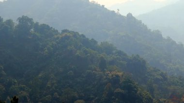 Yoğun yeşil dağ tepeleri, yumuşak sabah sisi ile kaplı güneş ışığıyla orman tepe örtüsünü hafifçe aydınlatıyor. Huzurlu doğal manzara, derinlik, bereketli bitki örtüsü ve sakin dağlık arazi manzarası..