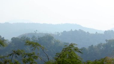 Katmanlı orman tepeleri, ön planda yeşil yapraklarla sabah sisi içinde kayboluyor. Huzurlu manzara, dağlık bir kırsal bölgenin derinliğini, doğal güzelliğini ve sakin atmosferini vurgular..