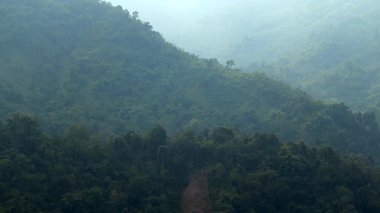 Yoğun yeşil orman, kayan dağ yamaçlarını örterek, uzaktaki yumuşak mavi sise dönüşür. Katmanlı tepeler ve yoğun bitki örtüsü, el değmemiş vahşi doğanın zenginliğini ve derinliğini vurgulayan sakin bir doğal manzara yaratır..