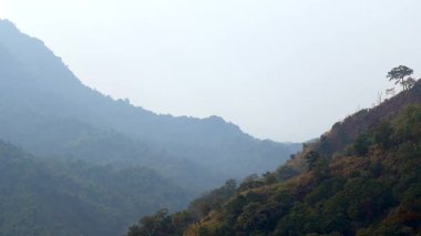 Katmanlı dağlık tepeler, yoğun ormanlarla kaplı ve hafif atmosferik bir sis tarafından yumuşatılmış uzaklıklara kadar uzanıyor. Doğal manzara manzaranın derinliğini ve el değmemiş vahşi doğanın barışçıl güzelliğini vurgular..