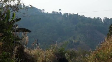 Manzaralı dağ yamacı yoğun tropikal ormanlarla ve yumuşak sisli ışığın altında uzun ve vahşi otlarla kaplıydı. Elektrik hatları ve kırsal bitki örtüsü huzurlu doğal ortama karışıp sakin bir kırsal atmosfer yaratıyor..