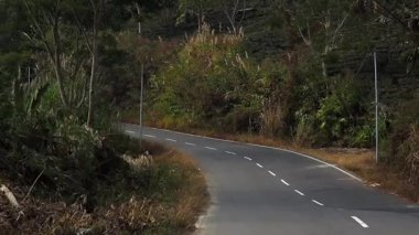 Boş, dolambaçlı asfalt yol yoğun bitki örtüsü ve kırsal alanda ormanlık tepeler boyunca kıvrılıyor. Manzaralı kırsal alanda yemyeşil, yol kenarı bitkileri ve sessiz bir dağ yolu boyunca uzanan uzun ağaçlar bulunur..