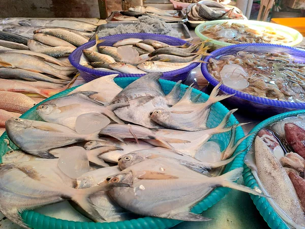 Pomfret balığı, mürekkep balığı, ançüez, karides ve tepsilerde sergilenen çeşitli tatlı su ve tuzlu su balıklarıyla deniz ürünleri tezgahı. Geleneksel bir pazarda çiğ deniz ürünleri seçimi.