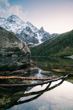 Sakin bir göl, yumuşak bir gökyüzünün altındaki görkemli karlı dağları yansıtır. Suyun etrafını saran uzun ağaçlar, şafak vakti huzurlu bir atmosfer yaratıyor, dinginliği ve doğayla bağlantıyı davet ediyor..