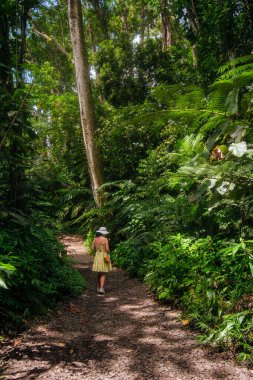 Kadın ve Çocuk Yağmur Ormanları Yolunda, Parlak Yaz Elbiseleri, yoğun yeşil örtüler, Uzun Palmiyeler, Dar Yoldaki benekli güneş ışığı, Sırt çantası ve Hasır Şapka ile Boş Yürüyüş,