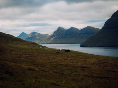 Sisli fiyortların arasındaki ıssız sahil kulübesi, sakin suya bakan otlaklı yamaçtaki yıpranmış balıkçı kulübesi,
