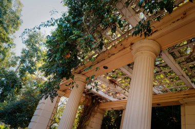 Uzun Sütunlu Günışığı Klasik Pergola, Sarmaşıklı Trellis Çatı, Sıcak Güneş Işığı Süzgeci