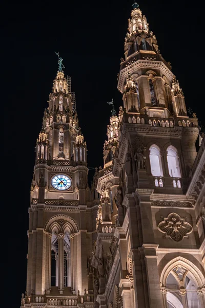 Geceleyin aydınlatılmış Gotik Katedral Kuleleri, Süslü Taş Surat ve Saat Yüzü 'nün dramatik kapanışı