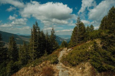 Kozalaklı Orman 'da Dağ Yolu Dönüyor, Süpüren Vadi Görünümleri ve Dramatik Bulutların Altındaki Uzak Tepeler,
