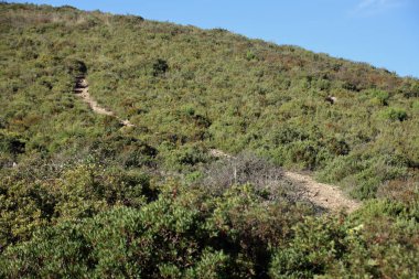 Dağlardaki patika yolu.