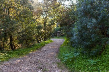 Dağların güzel manzarası