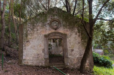 Ormanın ortasında büyük bir taşla terk edilmiş bir ev.