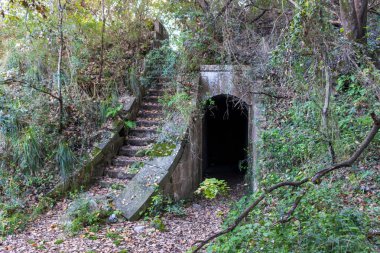 Ormandaki eski taş merdivenler.