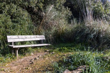 a beautiful view of the wooden bench in the park
