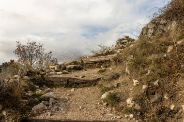 Sonbaharda dağ yoluna çıkan patika.