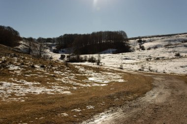 Karla kaplı ağaçlarla kaplı kış manzarası