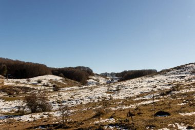 Ağaçlarla dolu bir tarlası ve bulutlu bir gökyüzü olan güzel bir manzara.
