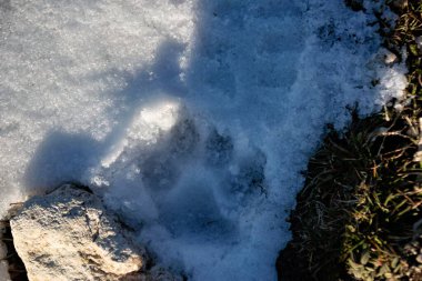 Dağlarda karla kaplı buz kristalleri