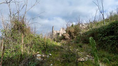 Ağacı ve dağı olan güzel bir manzara.