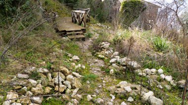 Ormanda bitkilerle çevrili bir yolun dikey görüntüsü.