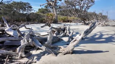 Jekyll Adası Eyalet Parkı (İngilizce: Jekyll Island State Park), Gürcistan 'ın Atlantik kıyısında bulunan bir ada parkı..