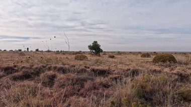 Kenton, Oklahoma, ABD. 6 Kasım 2025.