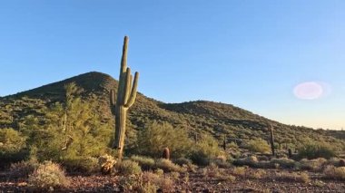 Cave Creek Bölge Parkı, Arizona, ABD. 2025.11.10.