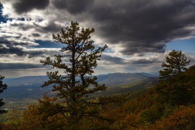 Sonbaharda manzara özellikle etkileyicidir: yamaçlar parlak yapraklarla kaplıdır..