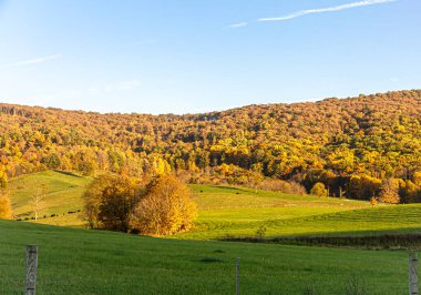 Sonbaharda manzara özellikle etkileyicidir: yamaçlar parlak yapraklarla kaplıdır..