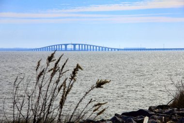 Şehir Apalachicola Nehri 'nin ağzında yer alır ve tatlı su körfezin tuzlu sularıyla karışarak eşsiz bir ekosistem oluşturur..