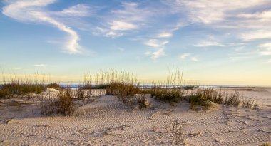 Sonbahar güneşinin yumuşak ışığı kumun dokusunu, dalgaların çizgilerini ve Atlantik 'in sonsuz ufkunu vurgular..