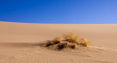 Great Sand Dunes Ulusal Parkı ve Koruma Alanı, Colorado, ABD. 2016.11.19