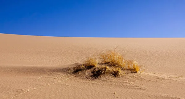 Great Sand Dunes Ulusal Parkı ve Koruma Alanı, Colorado, ABD. 2016.11.19