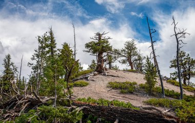 Colorado 'nun dağlık bölgesi, ABD. 04.07.2022.