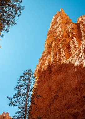 Bryce Canyon Ulusal Parkı, Utah, ABD. 2022.07.05.