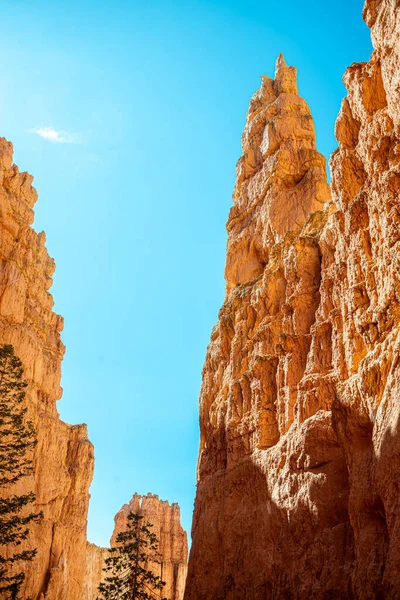 Bryce Canyon Ulusal Parkı, Utah, ABD. 2022.07.05.