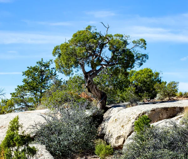 Chinle, Antilop Evi, Arizona, ABD. 8 Kasım 2025.