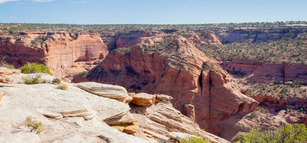 Chinle, Antilop Evi, Arizona, ABD. 8 Kasım 2025.