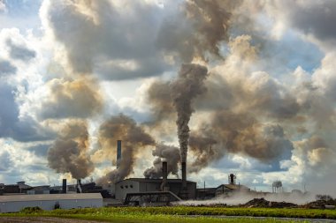 Şeker kamışı işleme tesisi, Louisiana, ABD. 17 Kasım 2025.