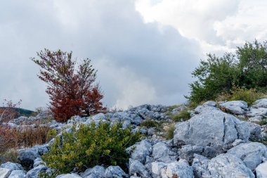 Karadağ Dağı Lovcen 'den Panorama, Kotor teleferiğinin tepesine bakıyor
