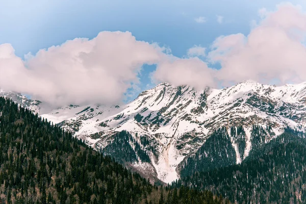 Ritsa Gölü 'nden dağ manzaralı Abhazya karlı dağ manzaralı kışın