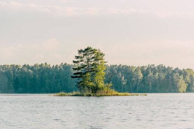 Vuoksa nehrinin taşların arasındaki manzarası, yaz günü su deposundaki hızlı akış.