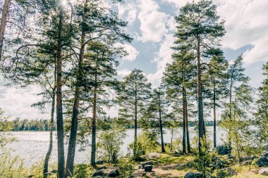 Vuoksa nehrinin taşların arasındaki manzarası, yaz günü su deposundaki hızlı akış.