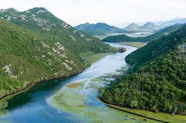 Crnojevica Nehri Skadar Gölü 'ne, yaz dağlarına, Karadağ manzarasına akıyor