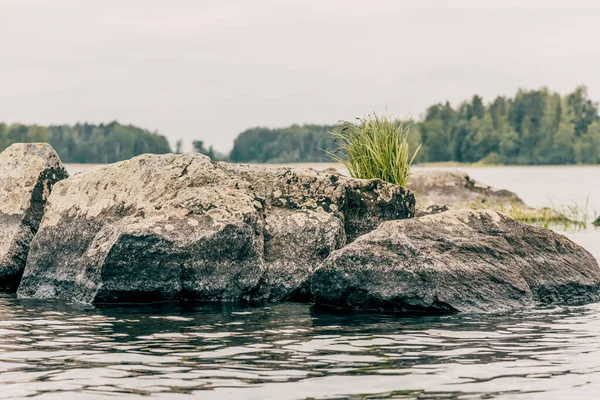 Taşların arasında nehrin manzarası, gün ışığında su deposundaki hızlı akış, Karelia yazı.
