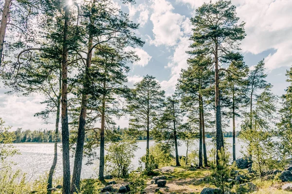 Vuoksa nehrinin taşların arasındaki manzarası, yaz günü su deposundaki hızlı akış.