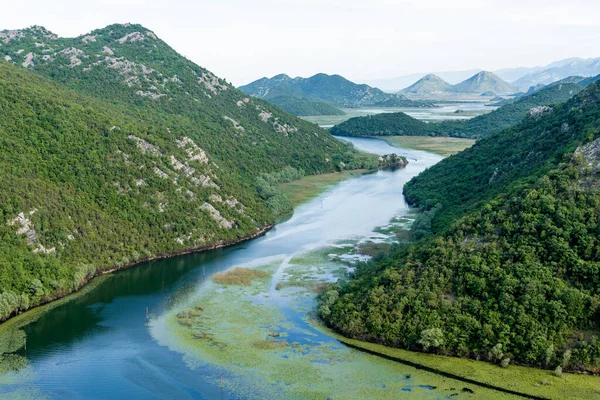 Crnojevica Nehri Skadar Gölü 'ne, yaz dağlarına, Karadağ manzarasına akıyor