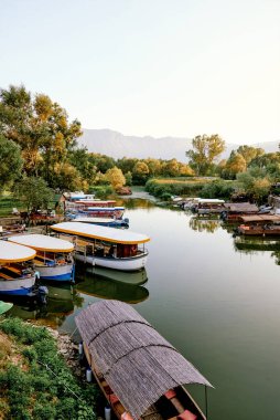 Skadar Gölü, Karadağ, 12 Ağustos 2024, liman teknesine demirlemiş tekneler