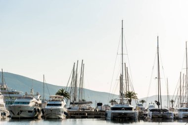 Tivat, Karadağ, 27 Nisan 2025, Porto Karadağ limanında yatlar park halinde